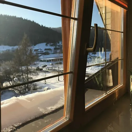 Apartament Lux & Czarny Potok * كرينيتسا زدروي